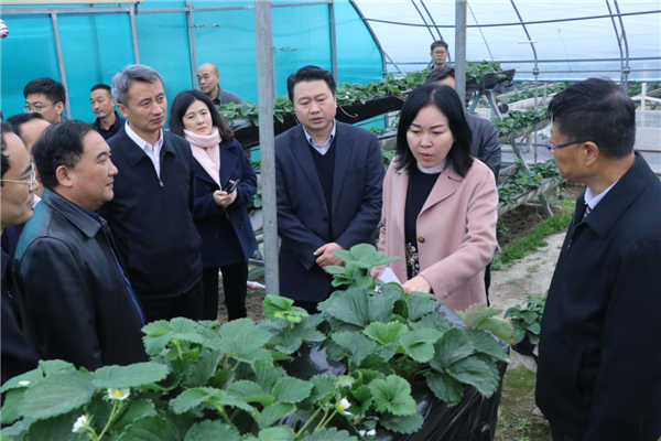 “質(zhì)量興農(nóng)萬里行”陜西站活動花落安康、走進漢濱、風(fēng)起陽晨